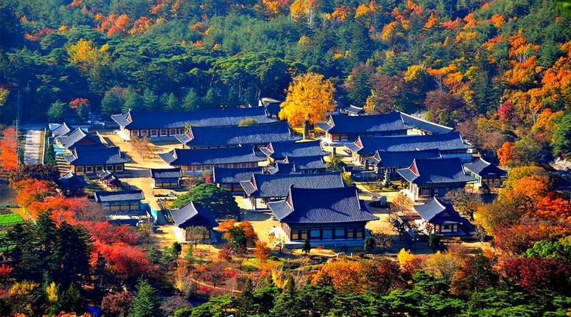 청도 운문사