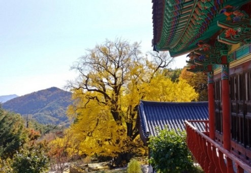 적천사